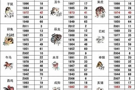 2005年生肖五行|2005出生属什么生肖查询，2005多大年龄，2005今年几岁